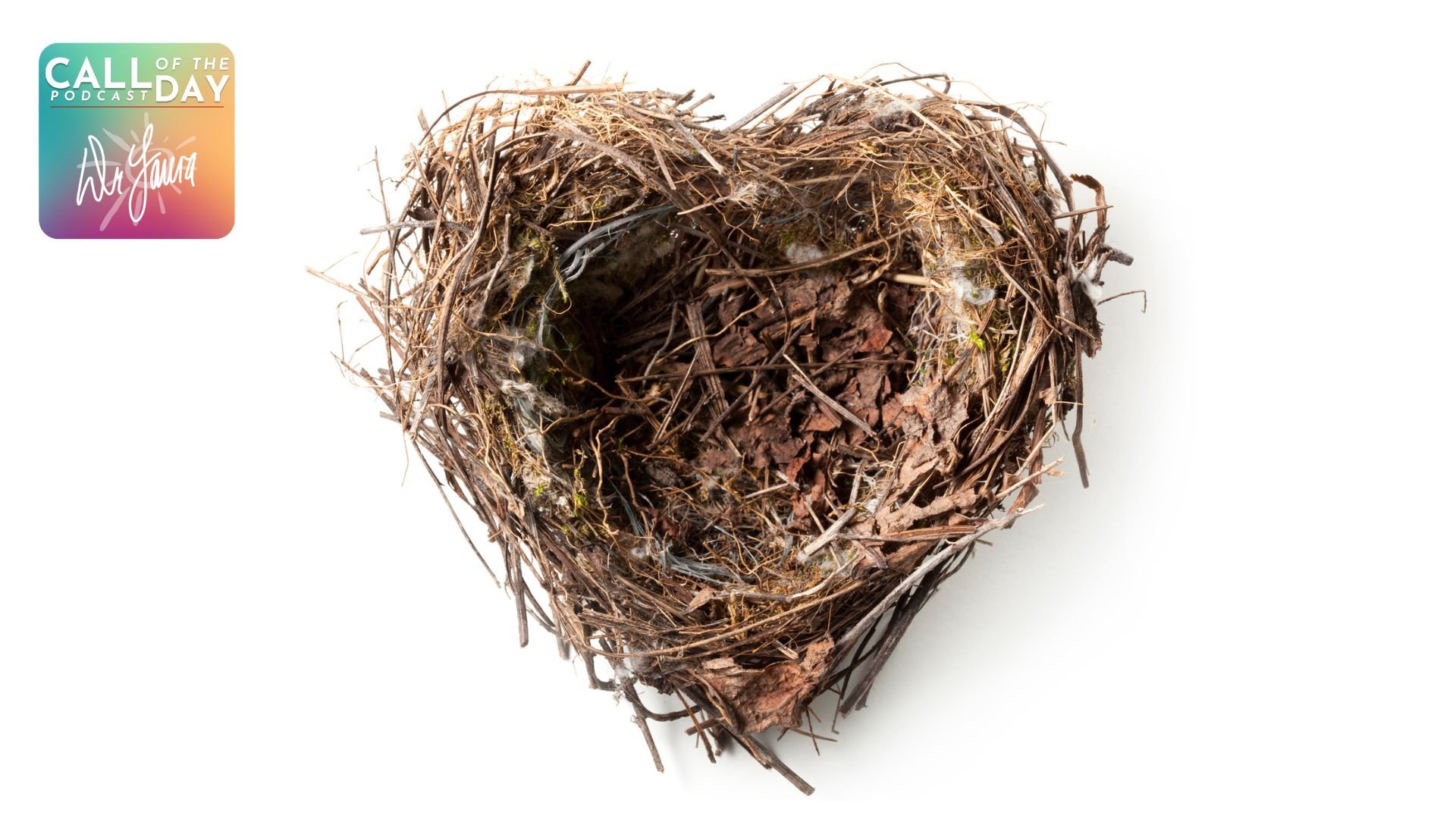 Call of the Day: My Nest Is Empty