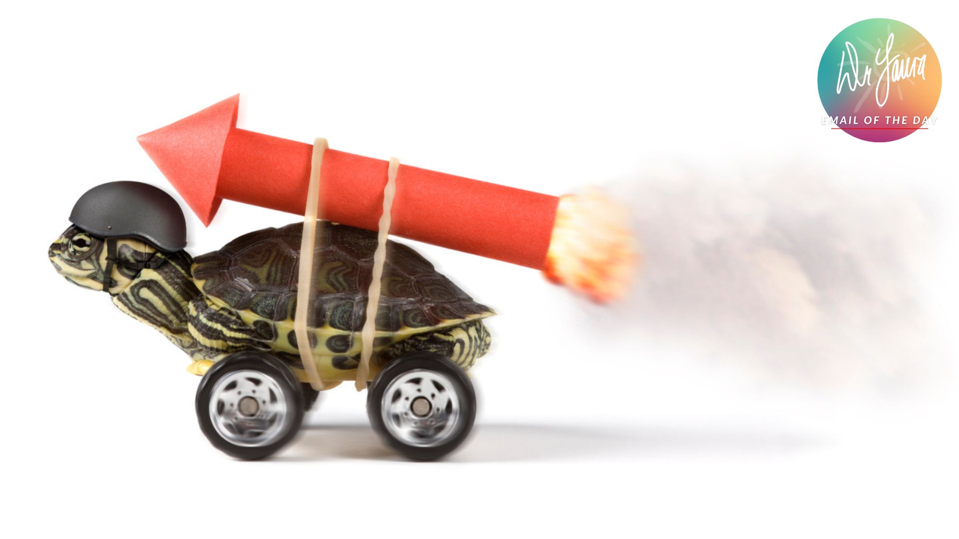 Turtle has wheel attached beneath him with a strapped on dynamite piece