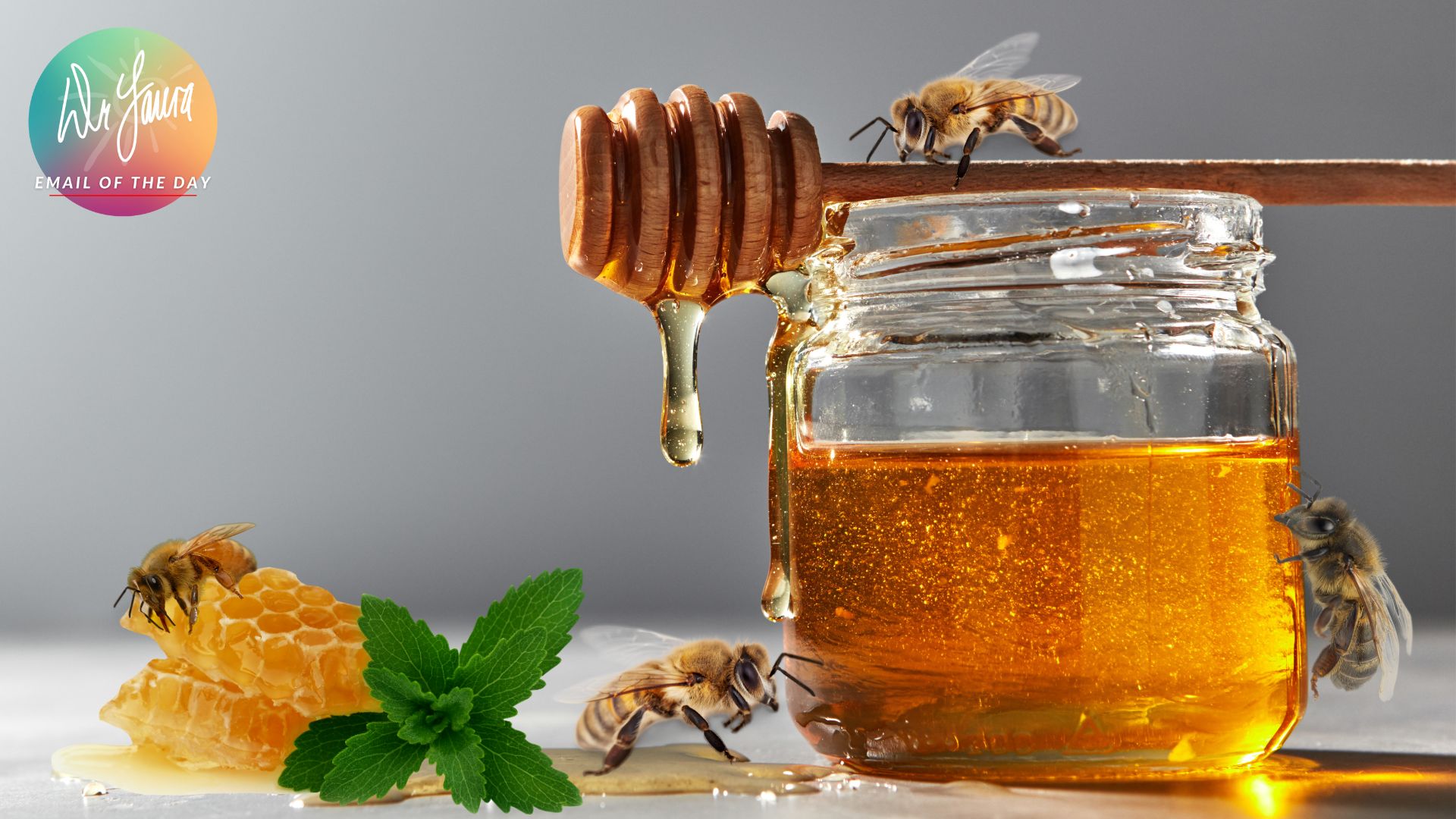 Bee touches head to jar of honey